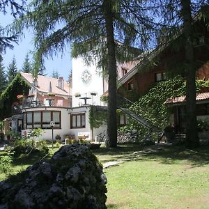 Lh Albergo Il Paradiso